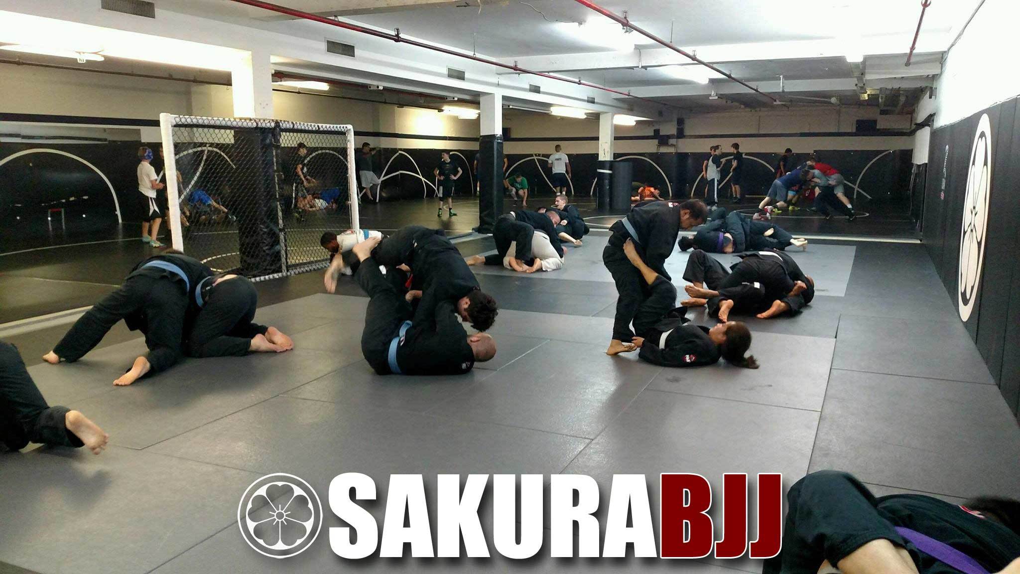 North NJ BJJ Open Workout Sakura BJJ Woodstock GA Jiu Jitsu