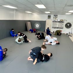 Why is Jiu Jitsu the Ultimate Martial Art